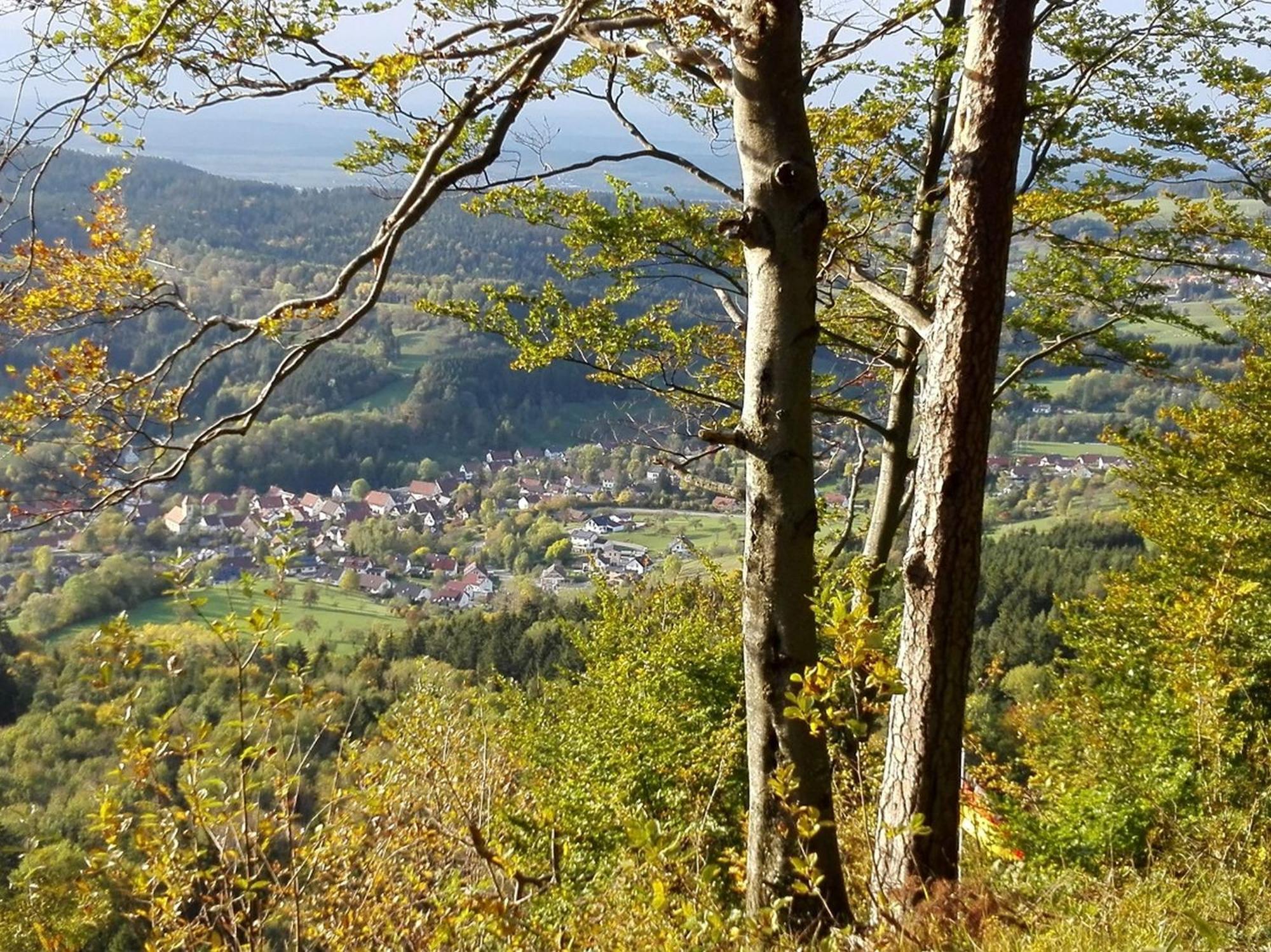 Ferienwohnung Schatz Albstadt Extérieur photo